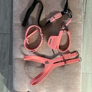 BON NEFLY LEASH SET